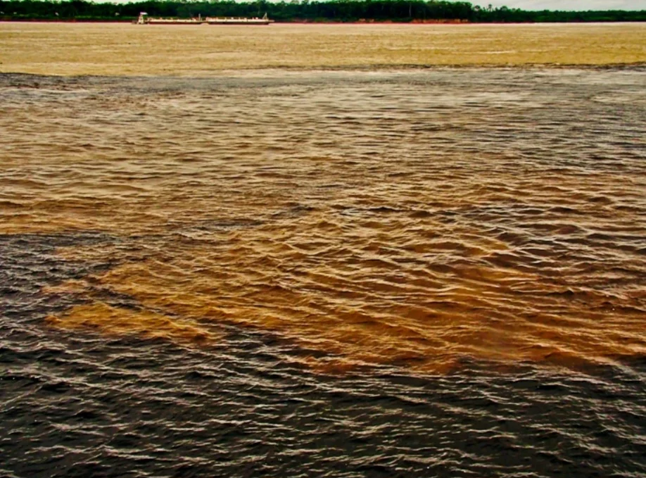Os rios mais extensos do Brasil: Exuberância de nossos cursos d’água - Lucia Barreiros da Silva wikimedia commons