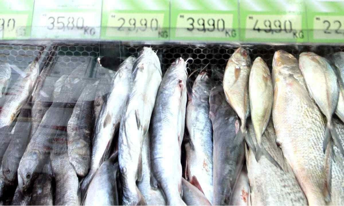 Ao comprar o peixe, o consumidor deve observar com cuidado a validade dos produtos e a integridade das embalagens -  (crédito: Jair Amaral/EM/D.A Press)