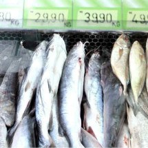 Semana Santa: saiba quais cuidados o consumidor deve ter ao comprar peixes - Jair Amaral/EM/D.A Press