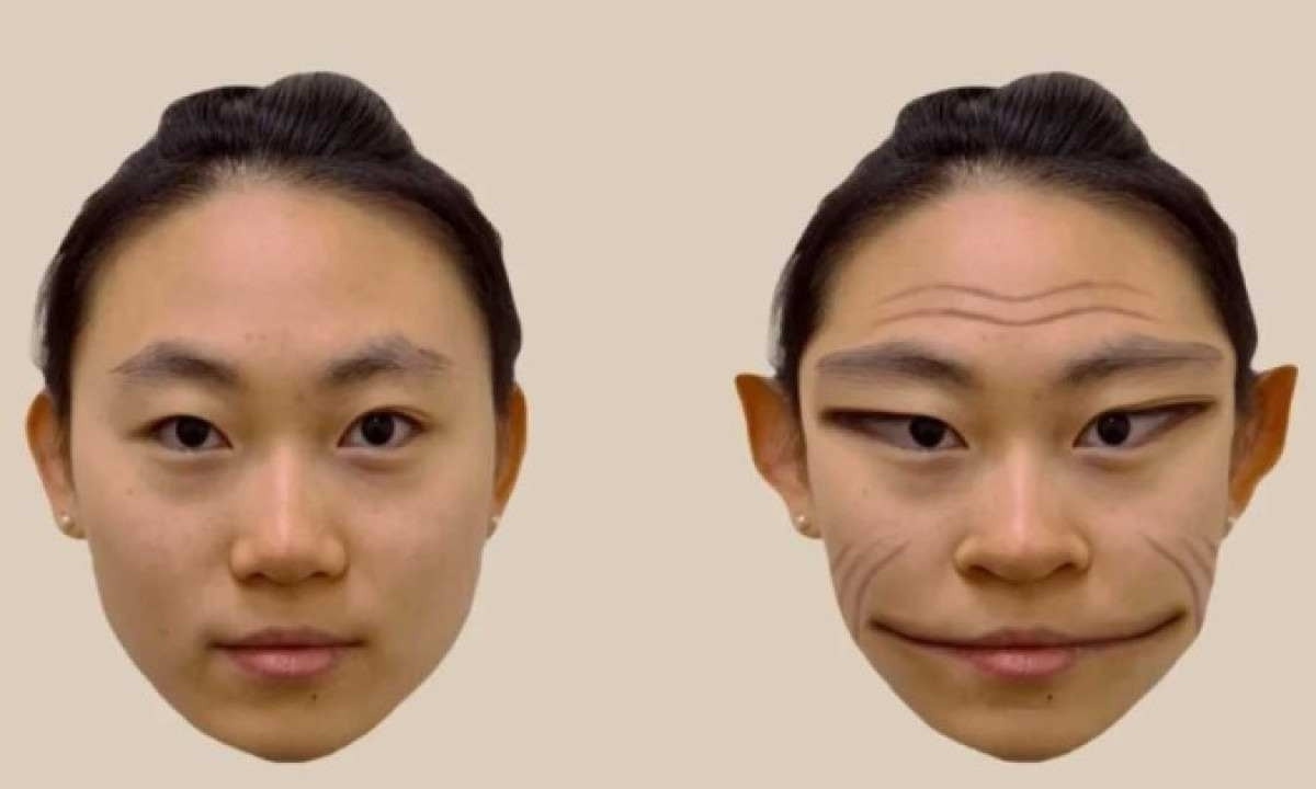 O raro distúrbio faz com que pessoas vejam rostos distorcidos -  (crédito:  Divulgação/ The Lancet)