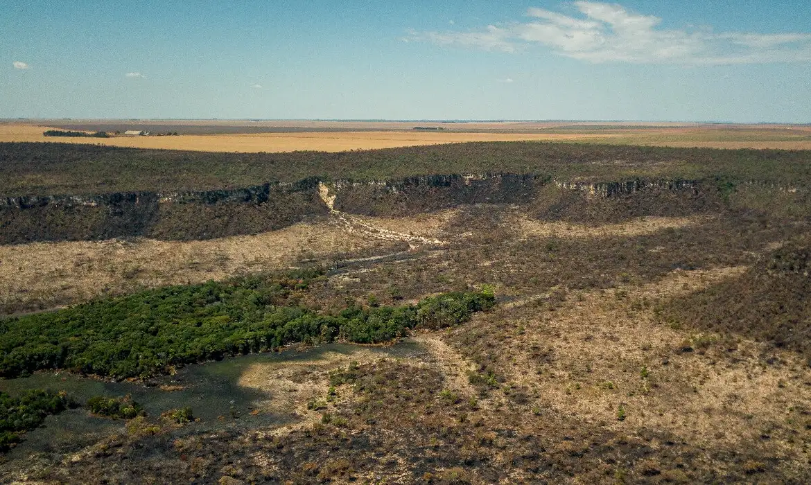 Governo monta força-tarefa para conter desmatamento no Cerrado -  (crédito: EBC)