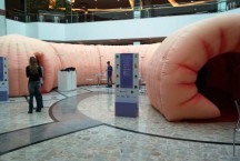 Câncer colorretal: shopping em BH promove exposição de intestino gigante