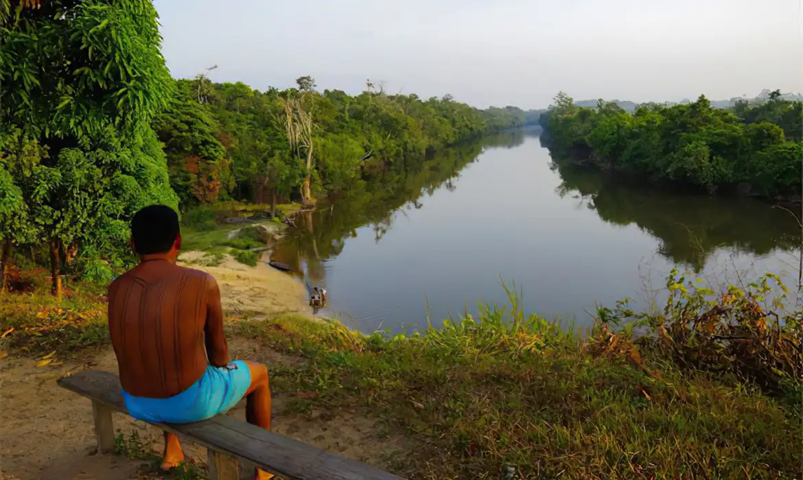 Justiça determina saída de invasores de terra indígena no Pará  -  (crédito: EBC)