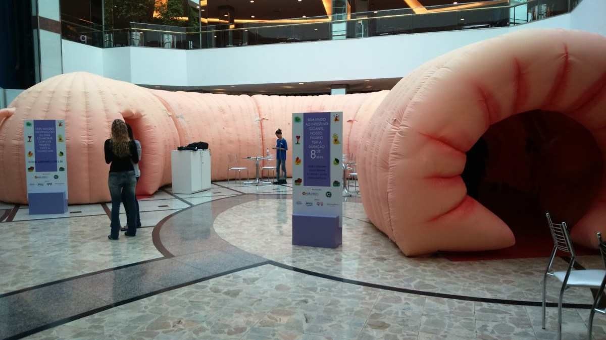 Câncer colorretal: shopping em BH promove exposição de intestino gigante