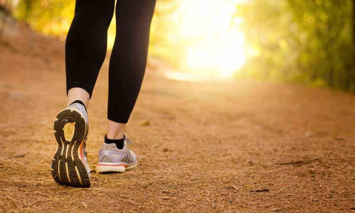 Caminhar na natureza -  (crédito: ISTOCK)