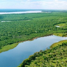 Brasil tem as maiores ilhas fluviais do mundo; veja lista - Márcio Di Pietro / Secom