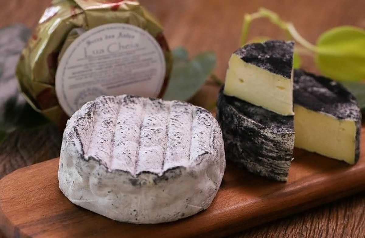 O queijo Lua Cheia do Serra das Antas é produzido em Bueno Brandão no Sul de Minas