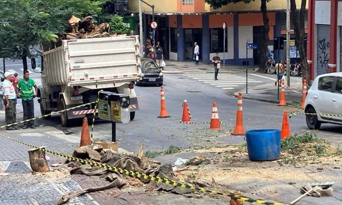Queda da árvore provocou o fechamento de uma das pistas da Rua São Paulo -  (crédito: Mariana Costa / EM / D.A Press)