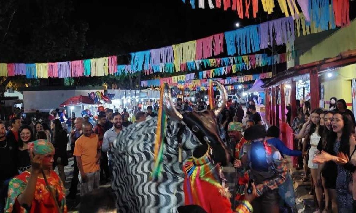 Festa do Bumba Meu Boi atrai centenas de pessoas em Caçarema, no município de Capitão Enéas, no Norte de Minas -  (crédito: Rogério Fagundes/divulgação)