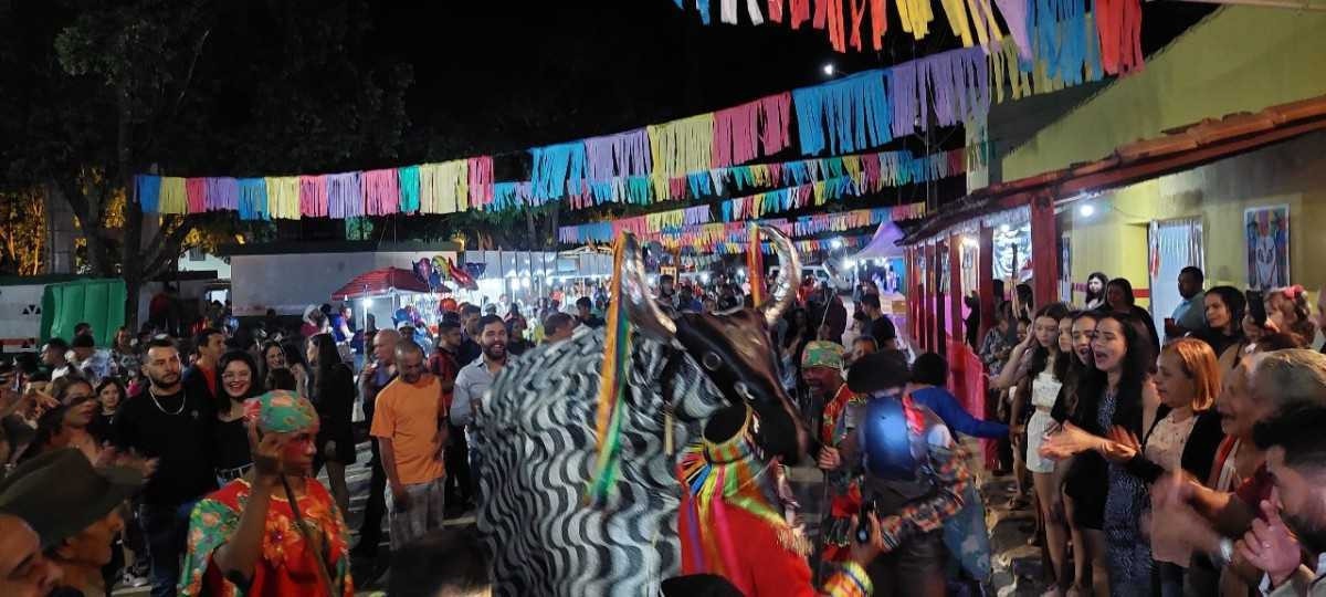 Festa do Bumba Meu Boi atrai centenas de pessoas em Caçarema, no município de Capitão Enéas, no Norte de Minas -  (crédito: Rogério Fagundes/divulgação)