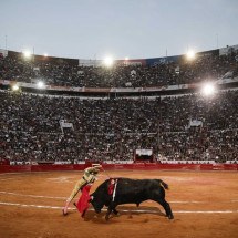 Retorno das touradas gera protestos na Cidade do México - Reprodução redes sociais Plaza México