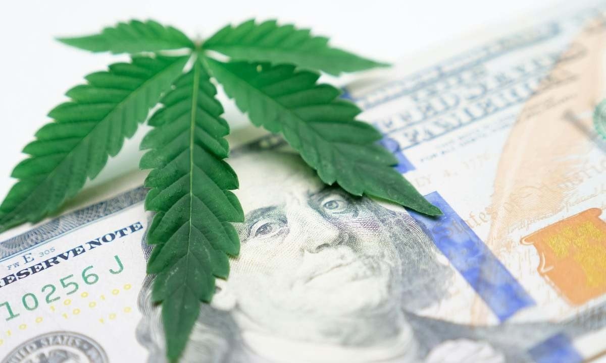 Folha de cannabis sobre nota de dólar -  (crédito: Pexels)