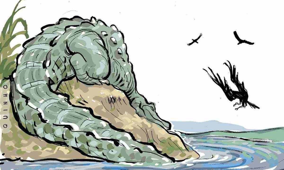 Esse predador alfa, em quase nada difere de seus ancestrais há 110 milhões de anos no mesmo continente, pouco se esforçará para agarrar a grande refeição -  (crédito: Ilustração)
