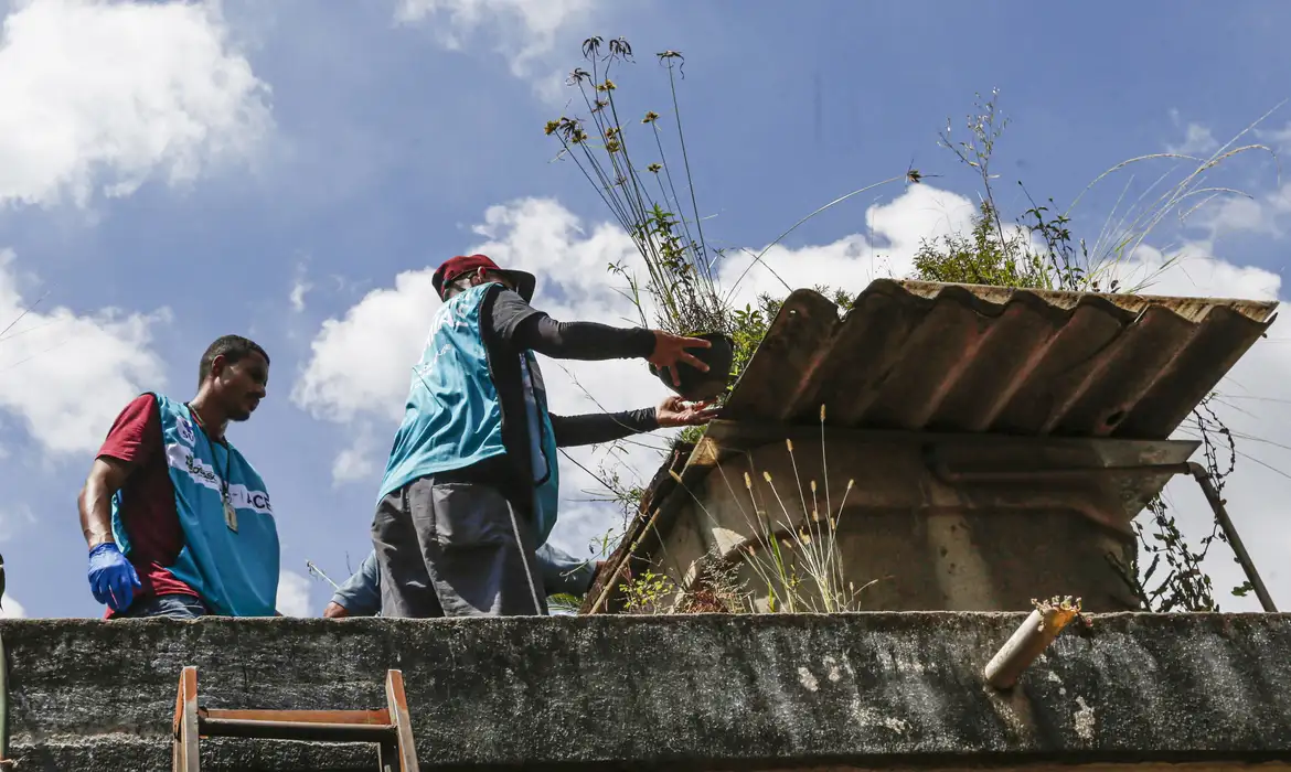 Sete estados e o DF têm tendência de queda nos casos de dengue -  (crédito: EBC)