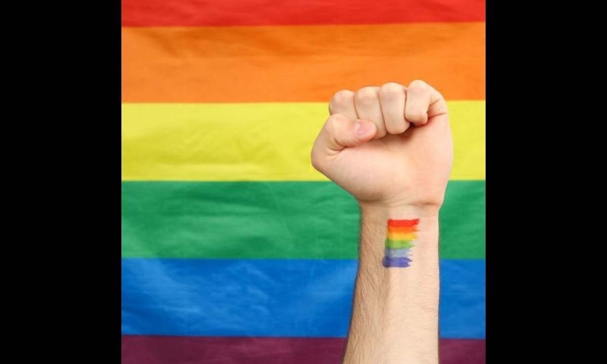 ONGs LGBTQIA+ recebem apoio e recursos de forma desigual