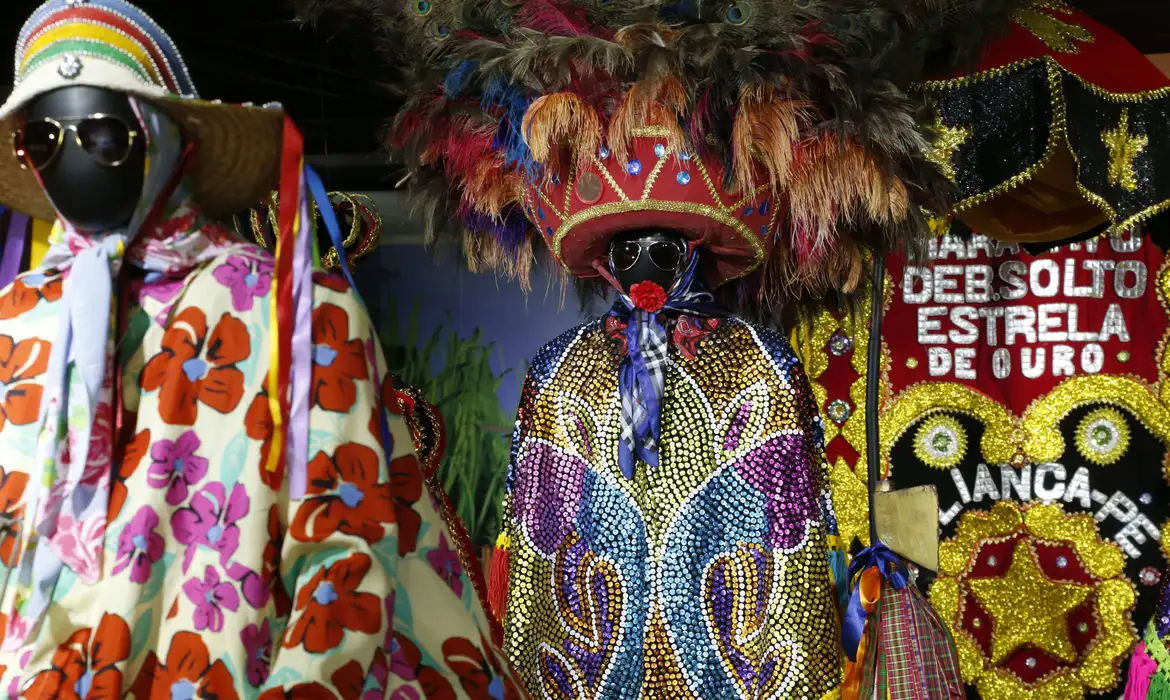 Exposição gratuita na Av. Paulista celebra a magia do Maracatu Rural -  (crédito: EBC)