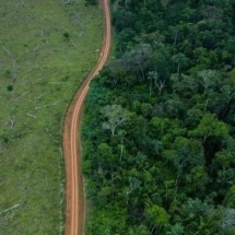 Por que Brasil e Colômbia lideraram 'redução drástica' em desmatamento em 2023 - Getty Images
