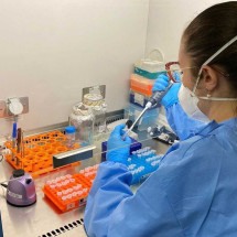 Vacina de DNA contra o zika apresenta bons resultados; veja cenário - Divulgação