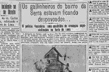 Quadrilha de crianças roubava galinhas para comprar doces… há 91 anos!