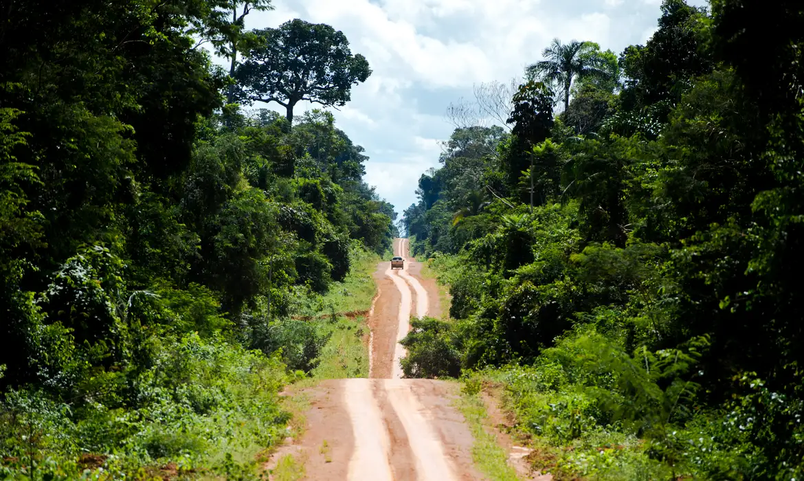 Amazônia: degradação afeta área três vezes maior que desmatamento -  (crédito: EBC)