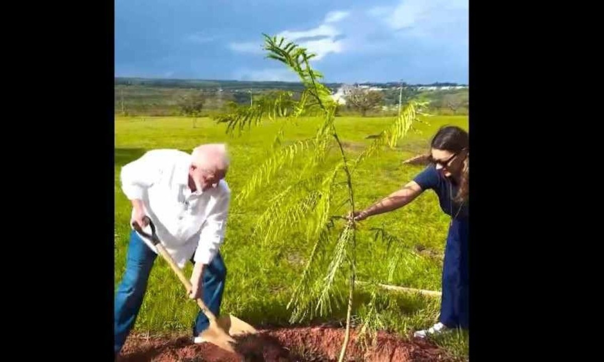 Lula pede que brasileiros sigam seu exemplo e plantem árvores em vídeo publicado neste domingo (7/4) -  (crédito: Redes Sociais/Reprodução)