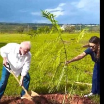 Vídeo: Lula planta muda de árvore e promete mais mil: 'Não é só discurso' - Redes Sociais/Reprodução