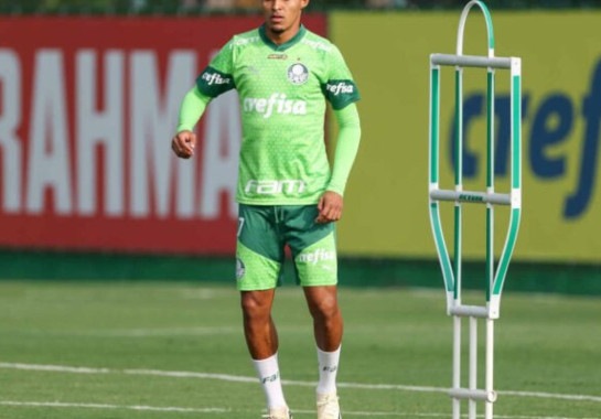Foto: Divulgação / Palmeiras