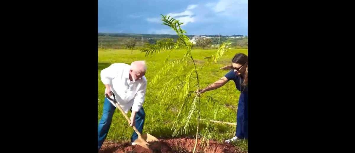 Vídeo: Lula planta muda de árvore e promete mais mil: 'Não é só discurso'