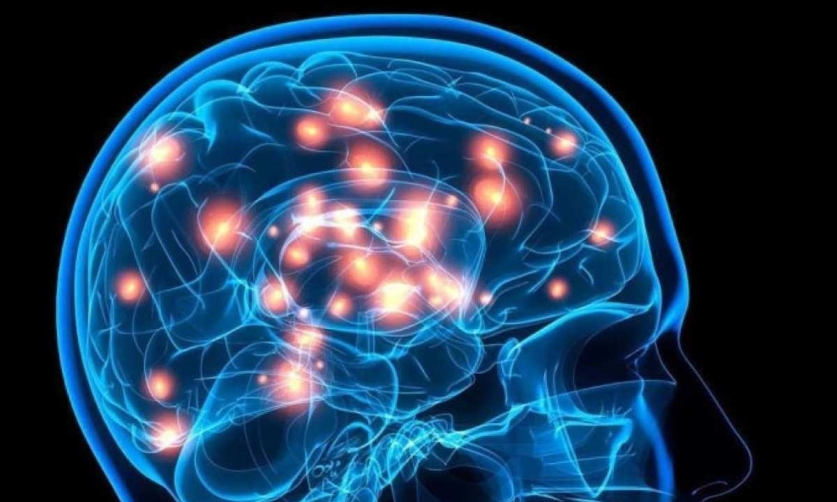 Representação dos circuitos cerebrais envolvidos na síntese da serotonina, um neurotransmissor  -  (crédito:  Universidade do Texas/Divulgação - Freepik)
