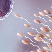 Sêmen também tem um microbioma e ele pode afetar a fertilidade masculina, diz estudo - Freepik