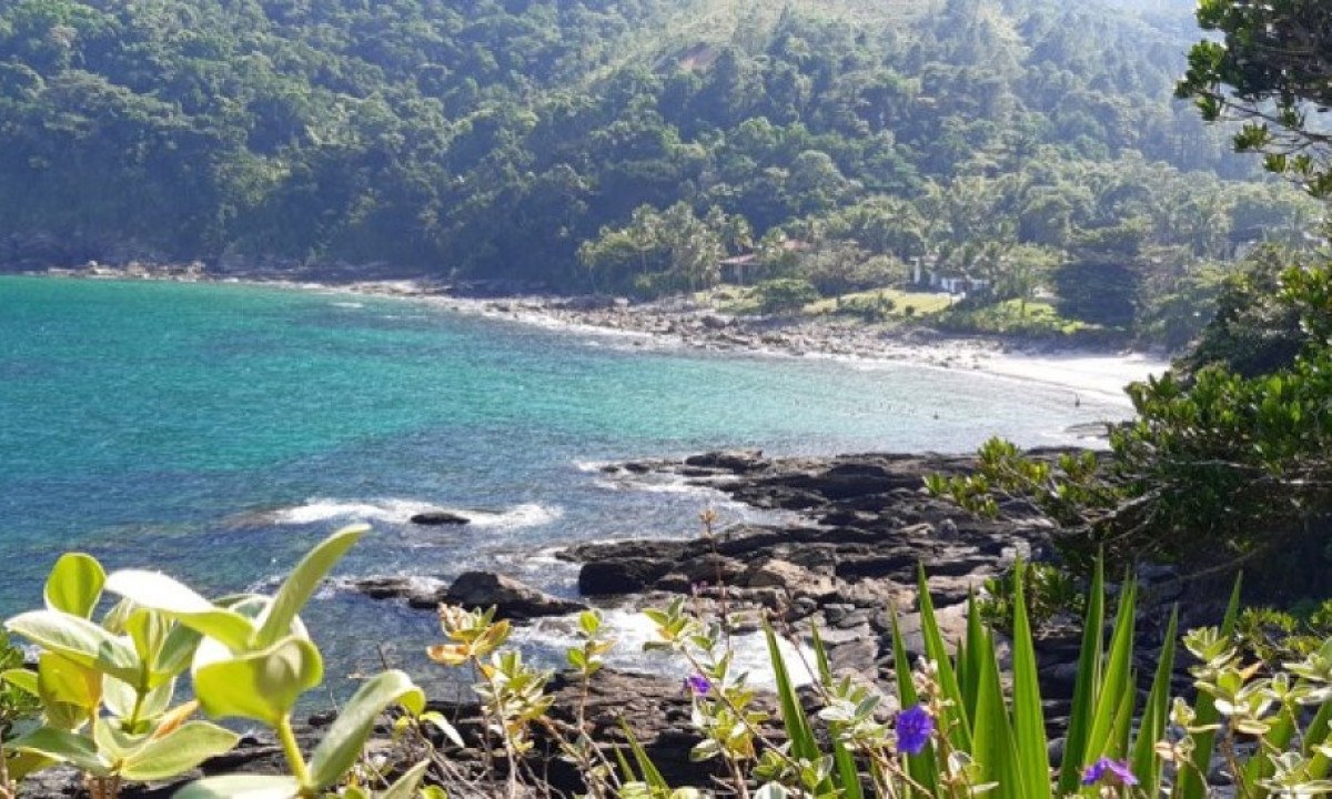 Conheça Calhetas: praia, cachoeira, trilha e mirante no mesmo lugar -  (crédito: Uai Turismo)
