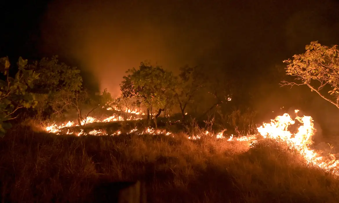 Seca faz incêndios em florestas maduras crescer 152% na Amazônia -  (crédito: EBC)