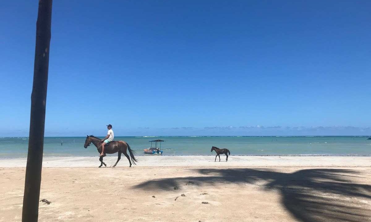 São Miguel dos Milagres, paraíso de águas calmas a 100 km da capital Maceió, em Alagoas -  (crédito: Bruno Calixto/Esp. EM)