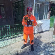 Bombeiros salvam tucano preso à linha de pipa em Minas Gerais - Corpo de Bombeiros/ Divulgação
