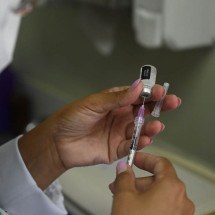 BH: vacinas contra dengue e COVID serão concentradas em 43 postos; confira - Leandro Couri/EM/DA.