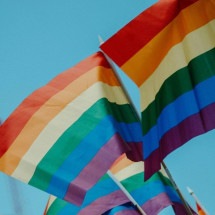 Candidaturas LGBTQIA+ avançam no Legislativo, mas dificuldades persistem - Daniel James/Unsplash