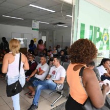 Minas chega a 1 milhão de casos prováveis de dengue - Leandro Couri/EM/D.A. Press