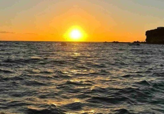 Foto: Lluis Gene/AFP via Getty Images