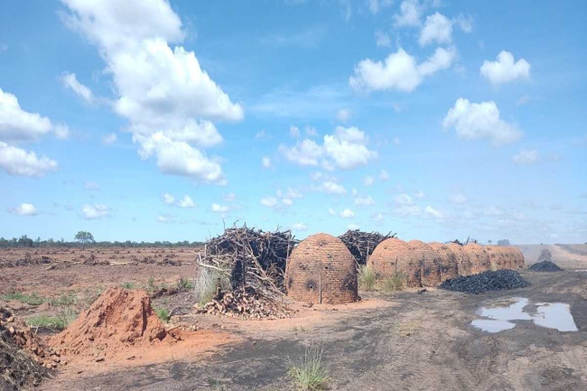Desmatamento ilegal gera R$ 15 milhões em autuações no Norte de Minas