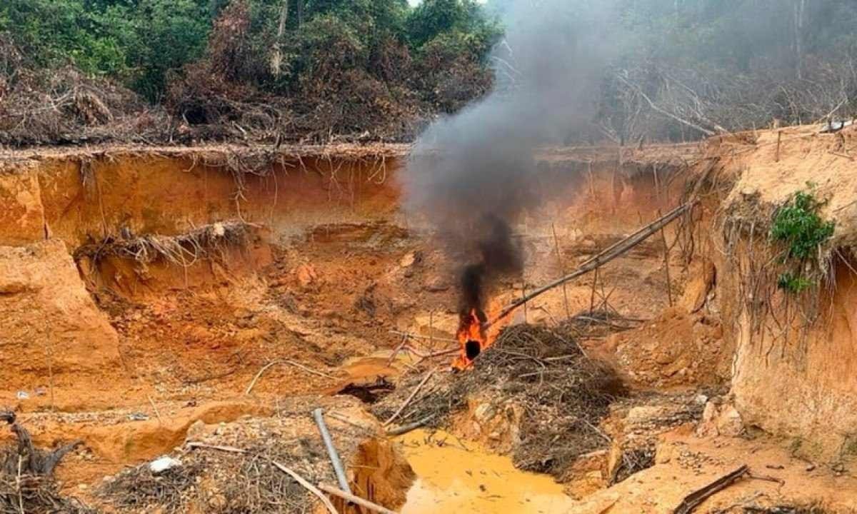 Ação em terra Yanomami contra garimpo ilegal apreende antenas de Elon Musk