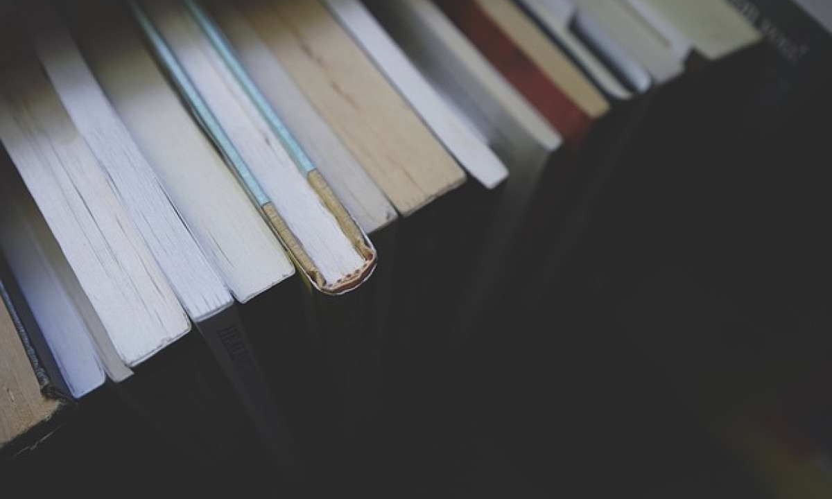 Livros -  (crédito: Pixabay/Reprodução)