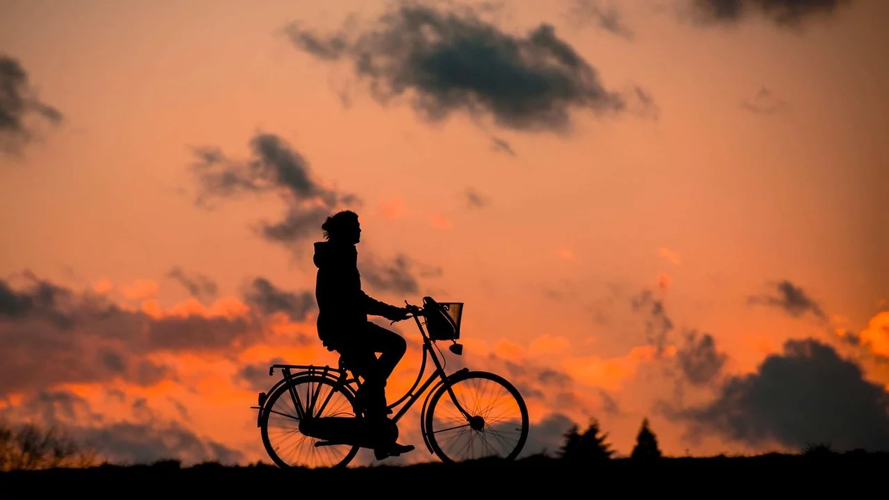 No Dia Mundial do Ciclista, veja as ciclovias mais espetaculares do planeta - renategranade pixabay 