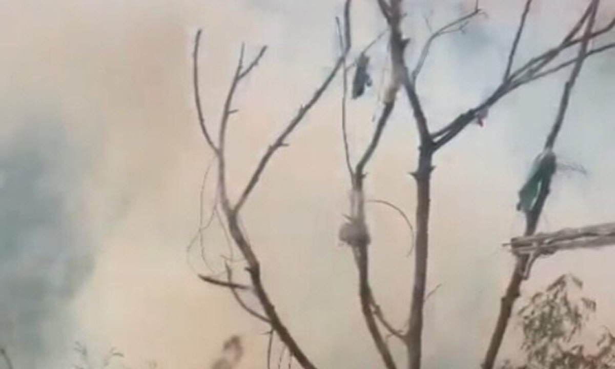 Incêndio foi filmado por vizinhos próximos ao lote vago -  (crédito: Reprodução/Redes sociais)