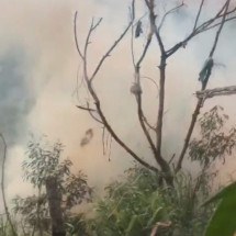 Incêndio em lote vago assusta moradores na Região Leste de BH - Reprodução/Redes sociais