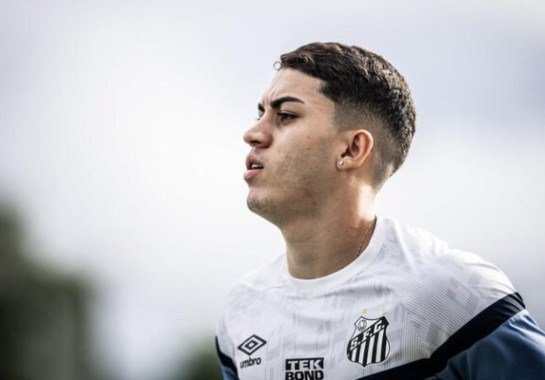 Foto: Raul Baretta/ Santos FC