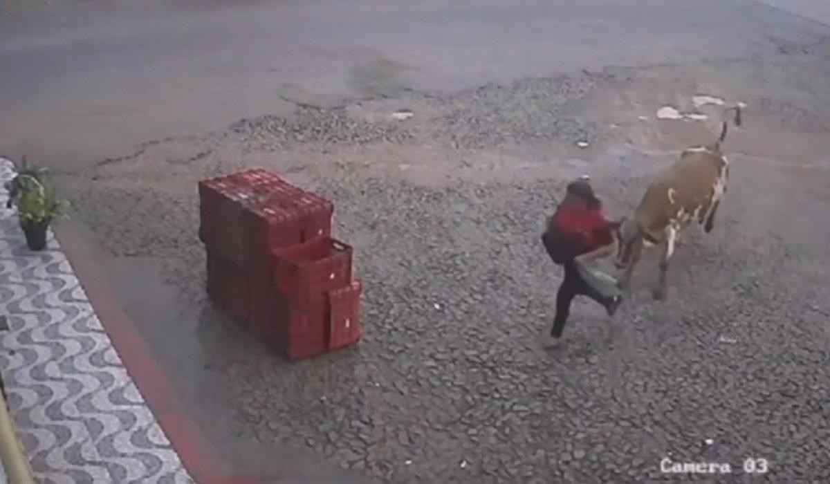 Vídeo: vaca persegue mulher e invade supermercado no interior de MG