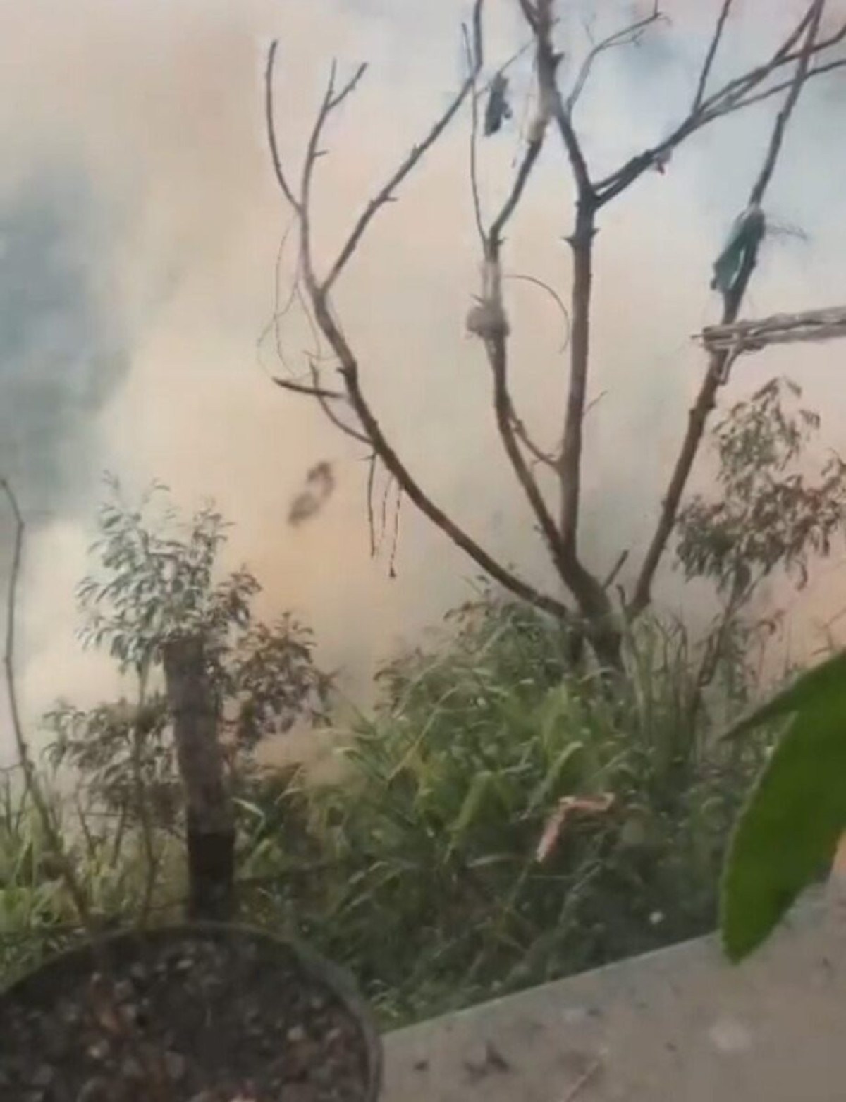 Incêndio em lote vago assusta moradores na Região Leste de BH