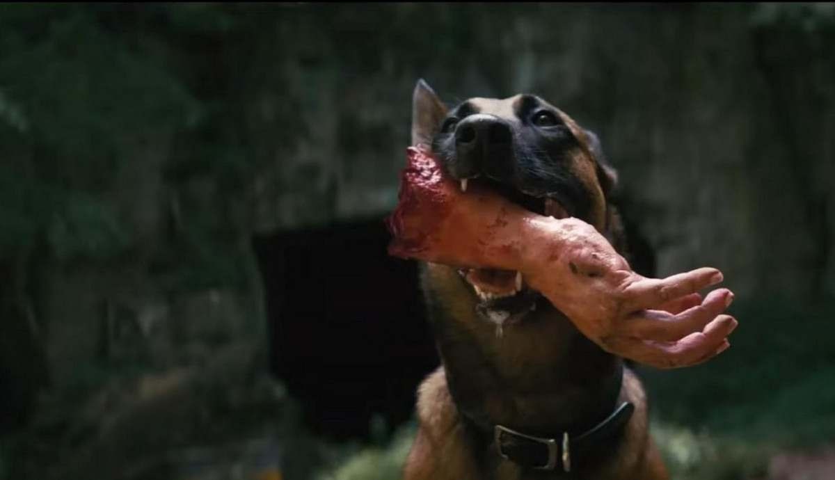 Cachorro leva pedaço de mão na boca em cena da série Fallout