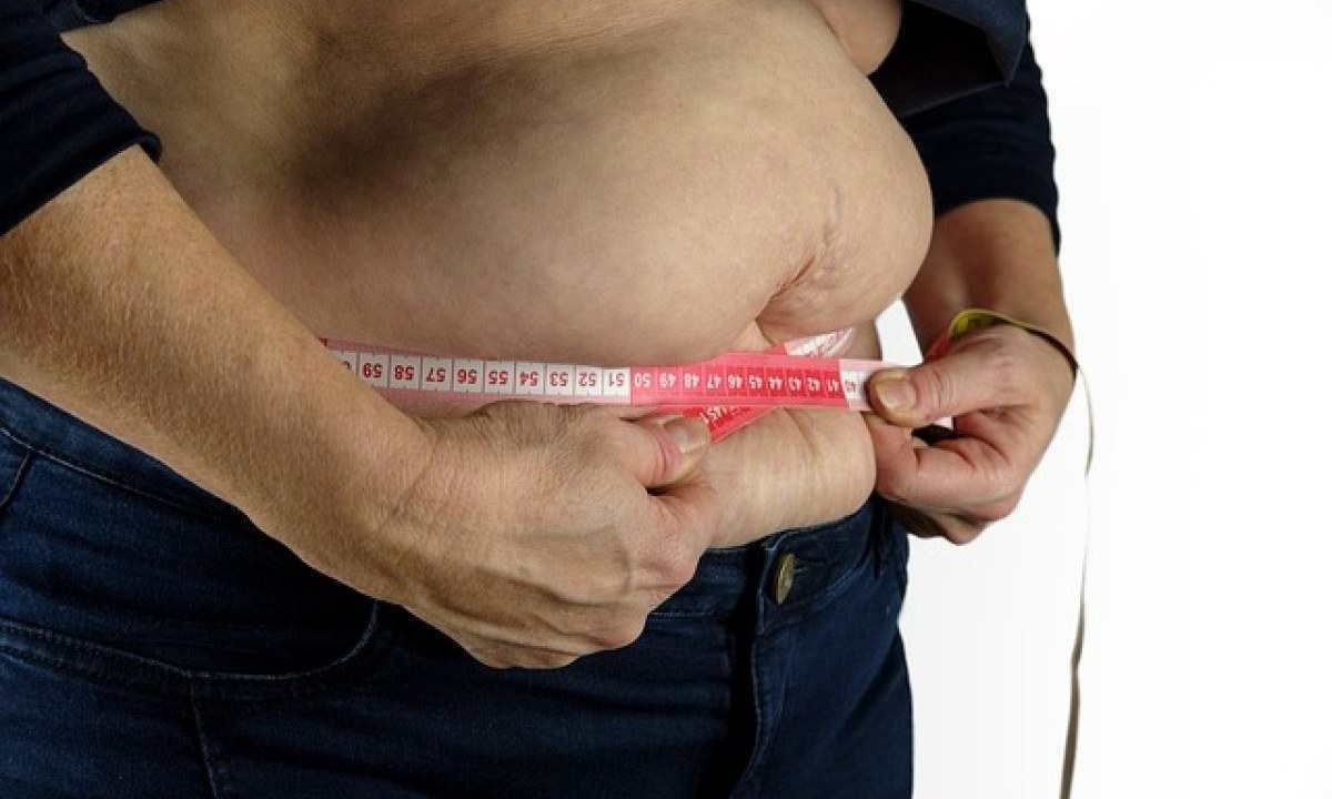 Os pesquisadores ressaltam que as alterações que caracterizam a síndrome metabólica em grande parte vêm sendo atribuídas à obesidade -  (crédito:  Bruno/Pixabay)