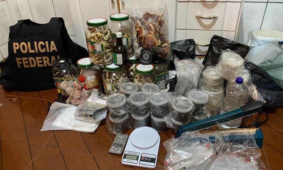Polícia Federal apreendeu cogumelos, esporos, material para cultivo e material para embalagem -  (crédito: PF/Divulgação)